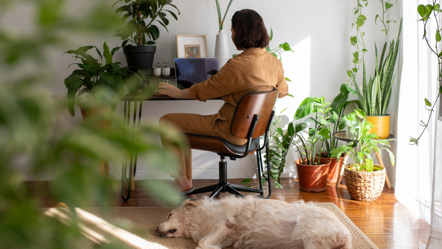 MRM Flexible Working